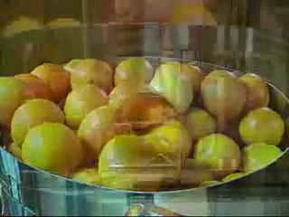 Automatic orange juicer Australia