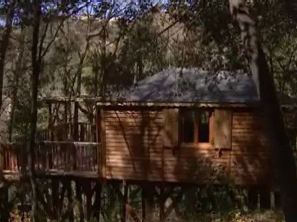 Ma cabane dans les arbres