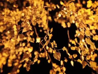 Artscape - Promo: Poets of Protest