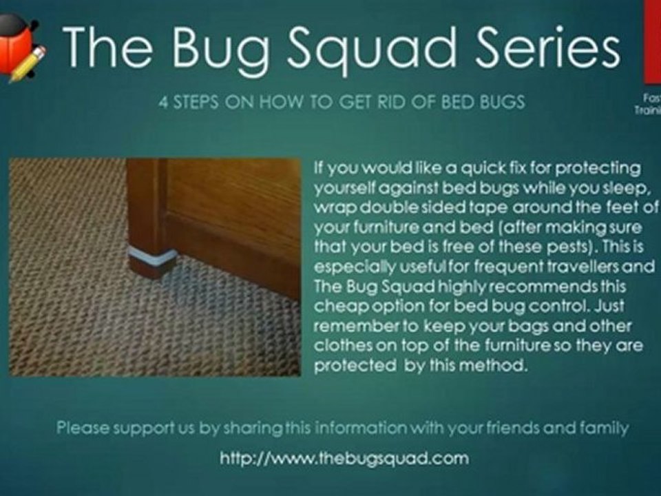 Get Rid of Bed Bugs Fast - Quick Guide