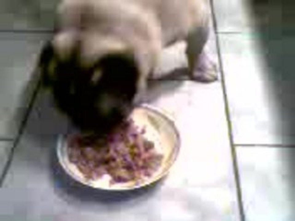 Romeo1