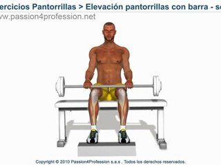 Elevación pantorrillas con barra, sentados (ejercicios para gemelos)