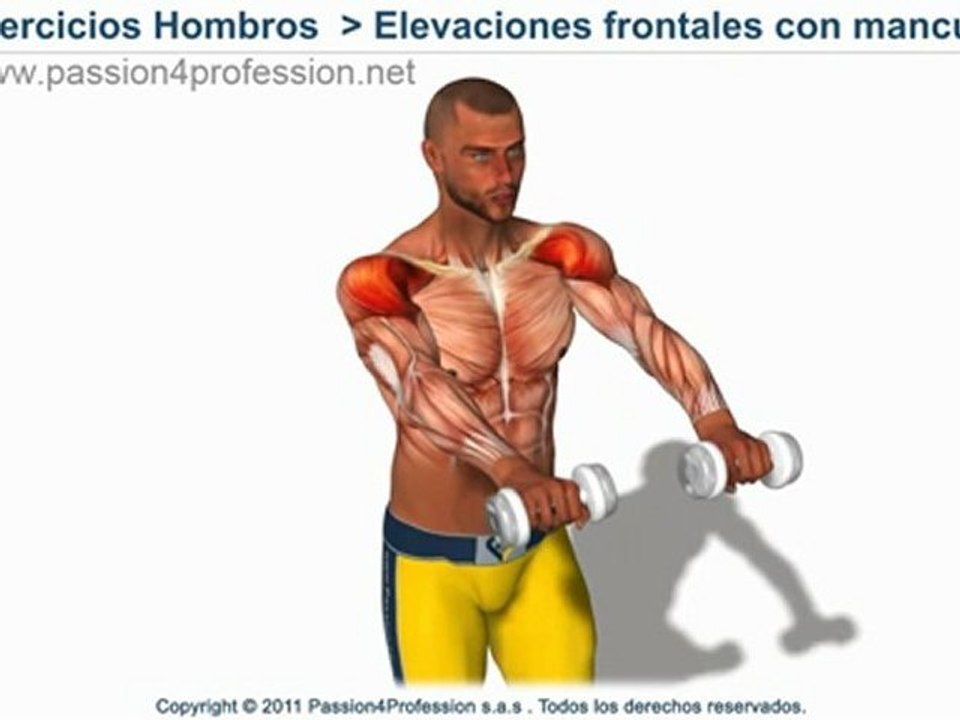 Elevatciones frontales con mancuernas