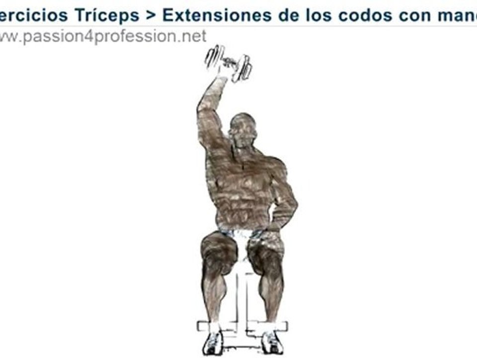 Extensiones de los codos con mancuerna