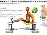 Ejercicios triceps : flexion 2 bancos