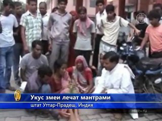 В Индии укус змеи лечат мантрами