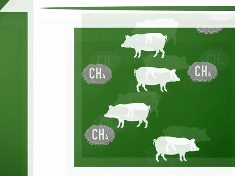 What is a Carbon Offset - Carbon Credit Offsets - The Trend Is Blue