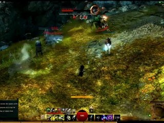 GW2 - Plateau pourpre - Plateau de Diessa