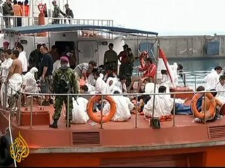 Arctic wildlife at risk from climate change