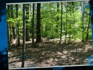 Purchasing commercial space in Maine Commercial Real Estate