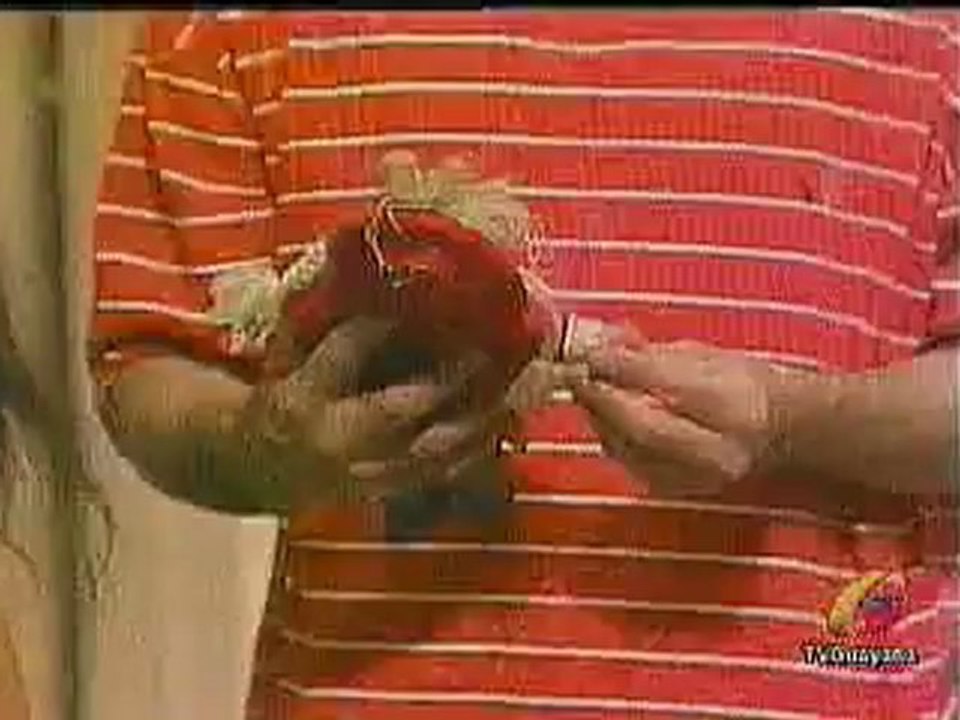 La Pandilla de los 7 - Episodio 18. Parte 2-3
