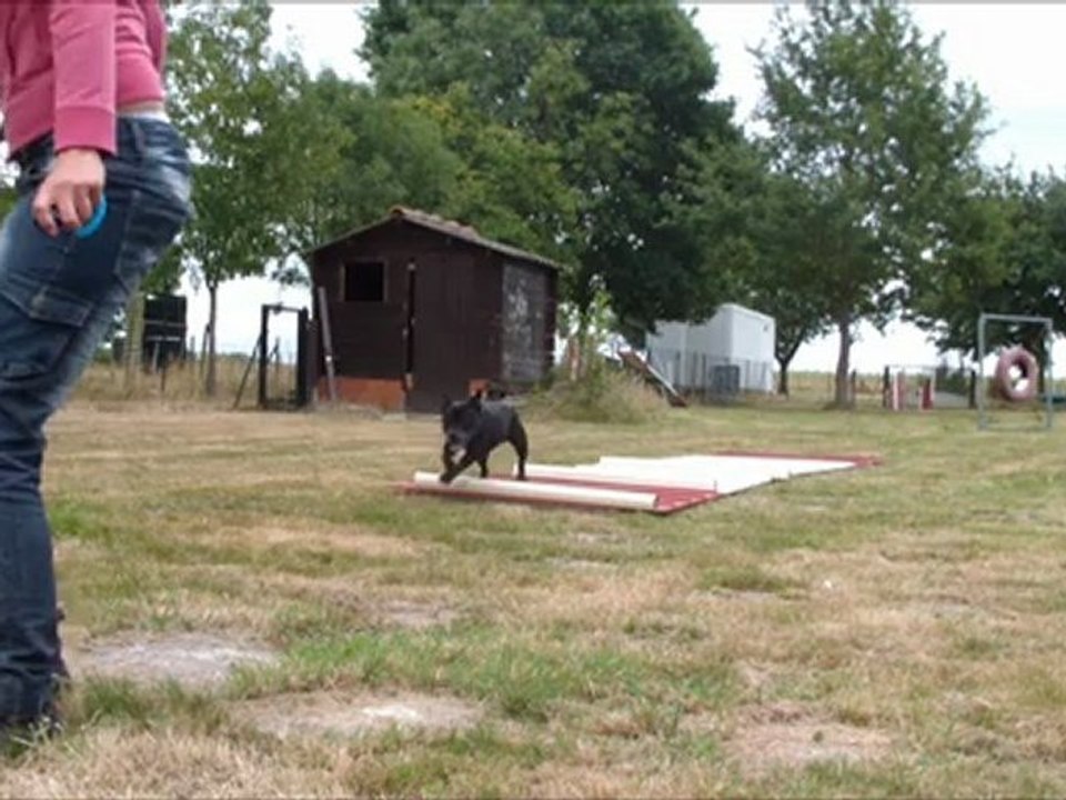 Vodka Running A-Frame 19th training