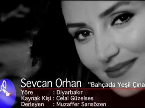 Sevcan Orhan - Bahçada Yeşil Çınar