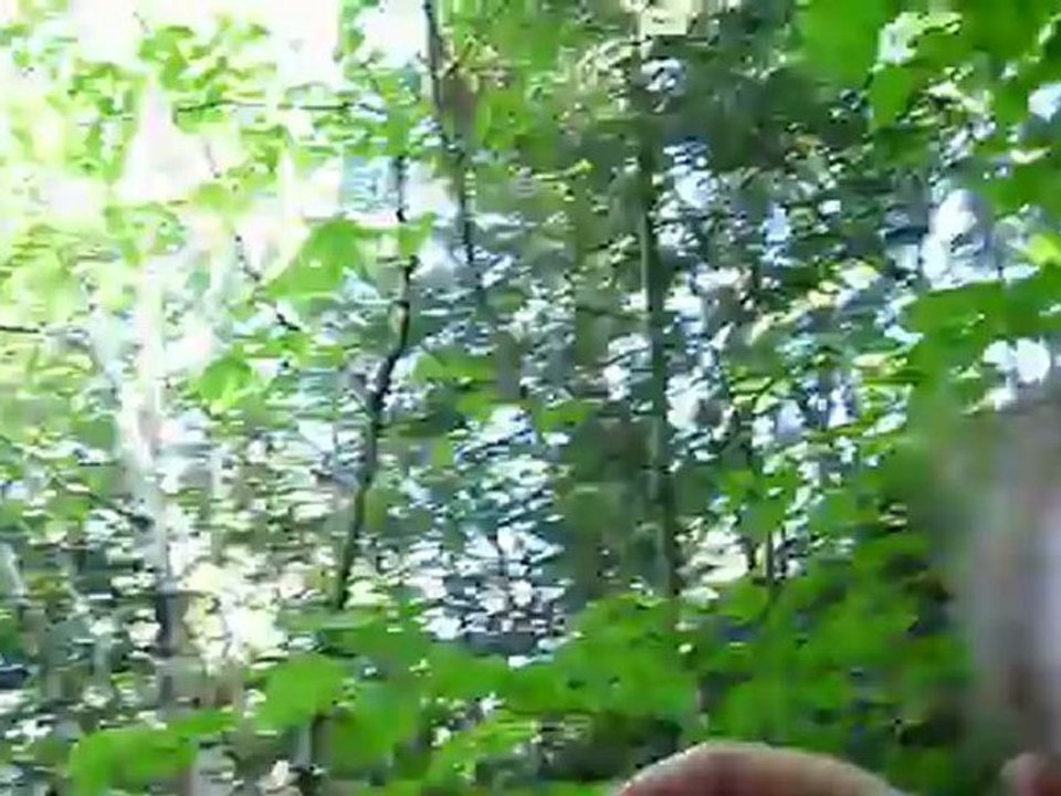 descente de marches avec Youna en porte bébé