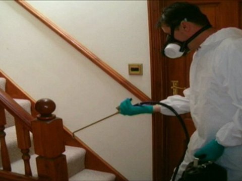 Environmentally Safe Pest Control is Available - Columbia Pest Control Inc