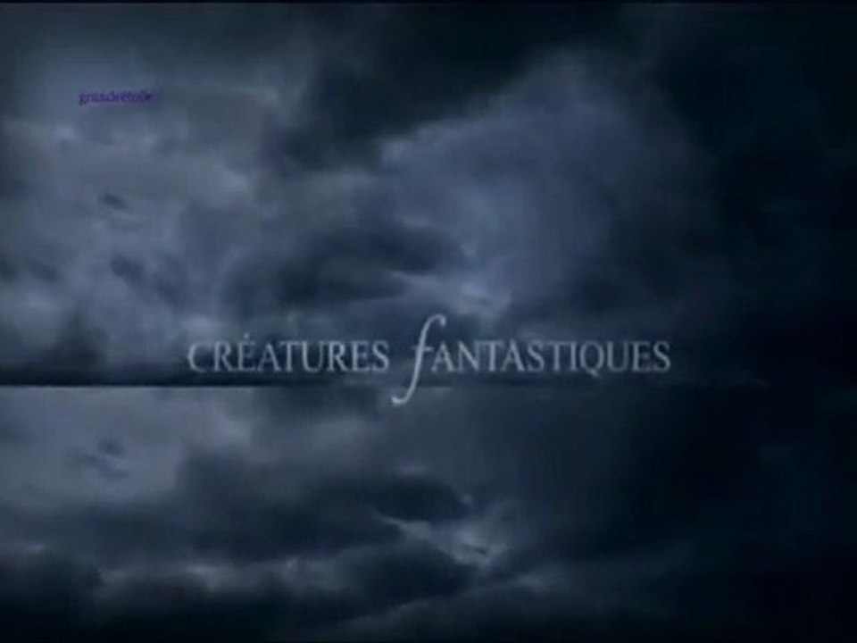 ombres de la foret_créatures fantastiques S01E03