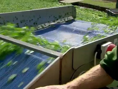 Raymond Blanc's Kitchen Secrets S01E04 Winter Vegetables