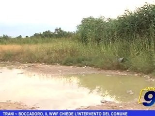Trani | Boccadoro, il WWF chiede l'intervento del Comune