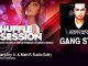 Christophe Fontana - Gangstar - Jey V. & Matt P. Radio Edit - ShuffleSession