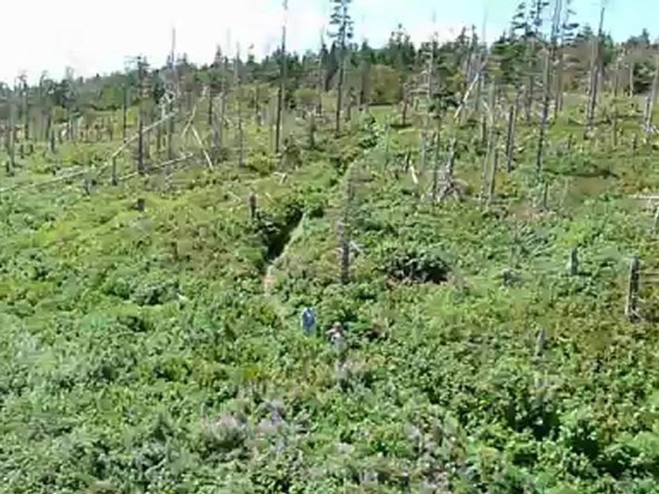 panorama fous de bassan