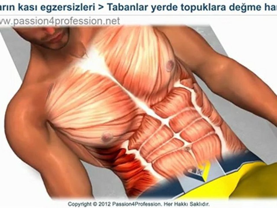 Karın kası egzersizleri