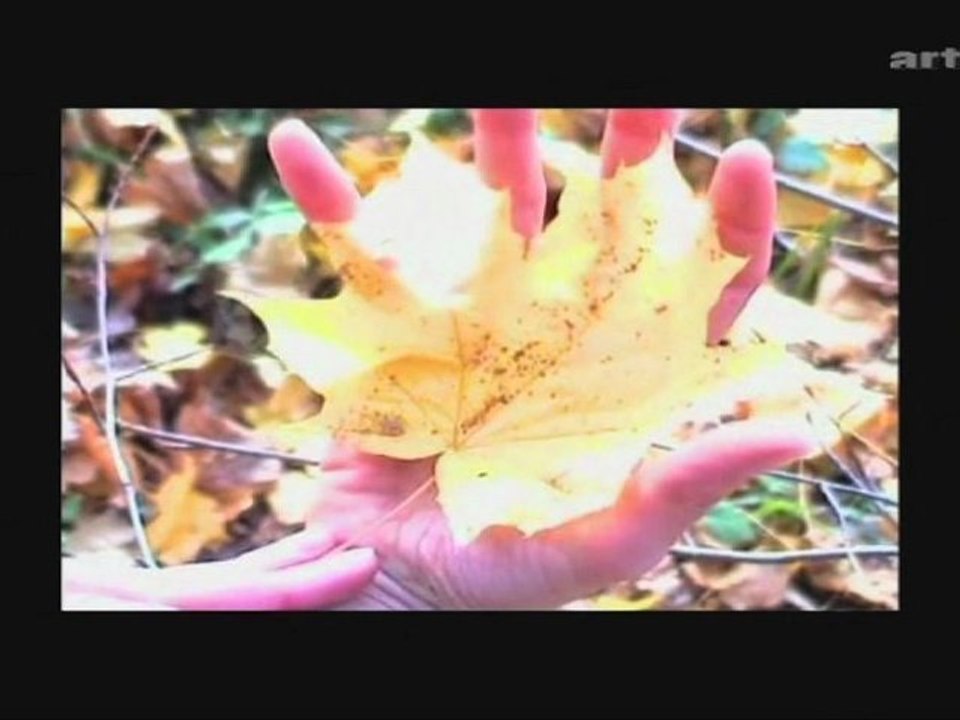 Contes de ma mère l'Oye. Danse