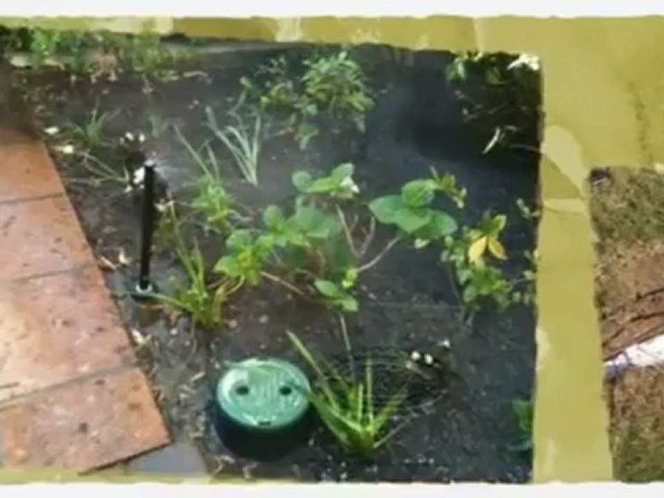 Sprinkle Repair in Las Vegas | Turf Trimmers | (702) 628-5708