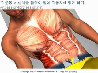 다이어트운동 diet 뱃살을 빼주는 하복부 운동