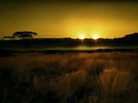 CREE LED Flashlight-LED Torch-Bright Flashlights