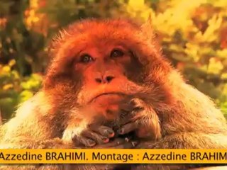 Un été chez nous - ep29