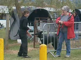 gpf deejay st germain laprade 2012