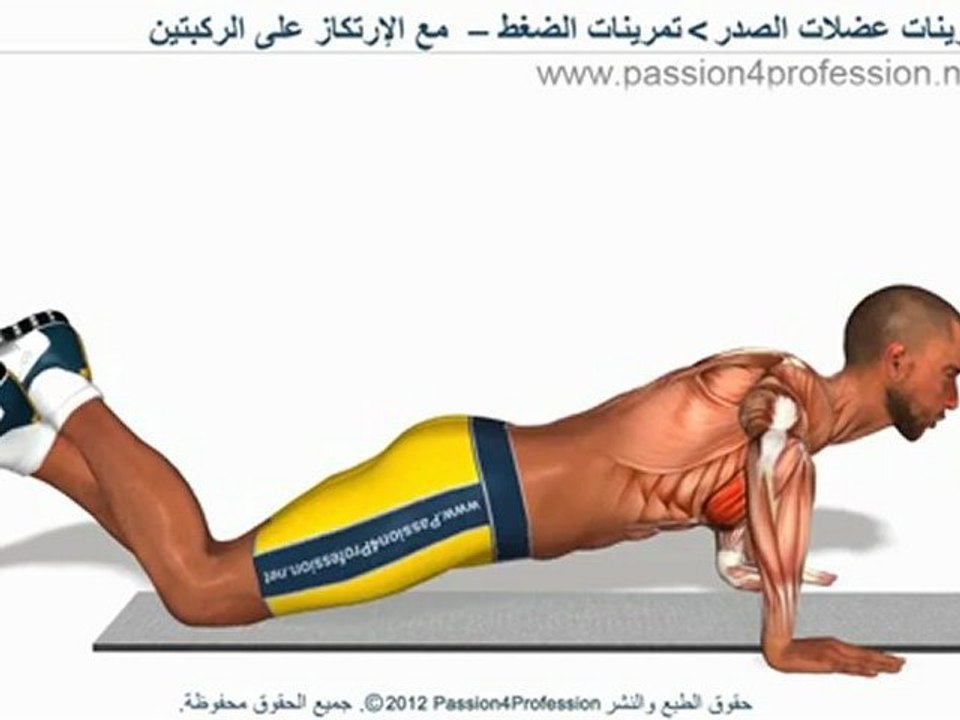 تمارين الصدر