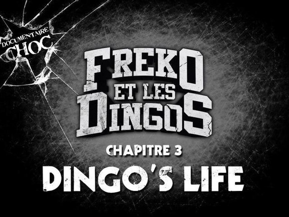 chapitre 3 : dingo's life ,,, partie 1/4 ( documentaire : fréko et les dingos )
