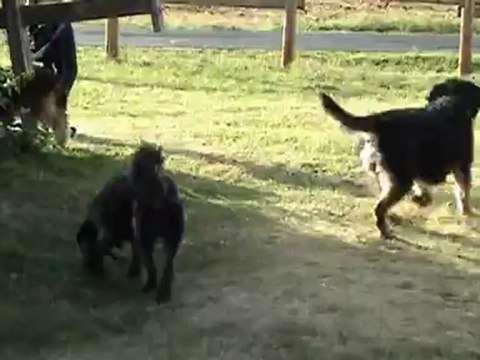 New01.mpg Moulins ALLY AUVERGNE AOUT 2012