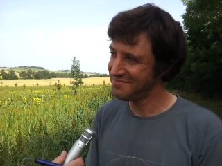 Mixed-cultivation benefits build over years : soil fertility, biodiversity, crop yields all improved