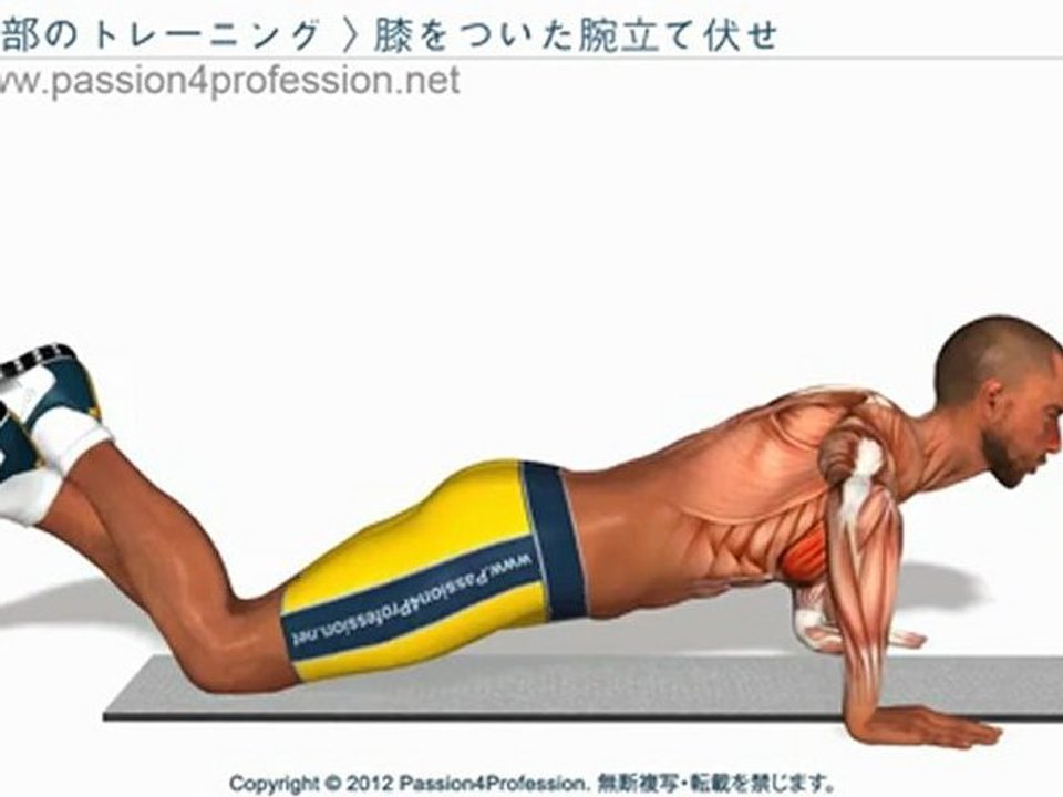 胸部のトレーニング : 膝をついた腕立て伏せ