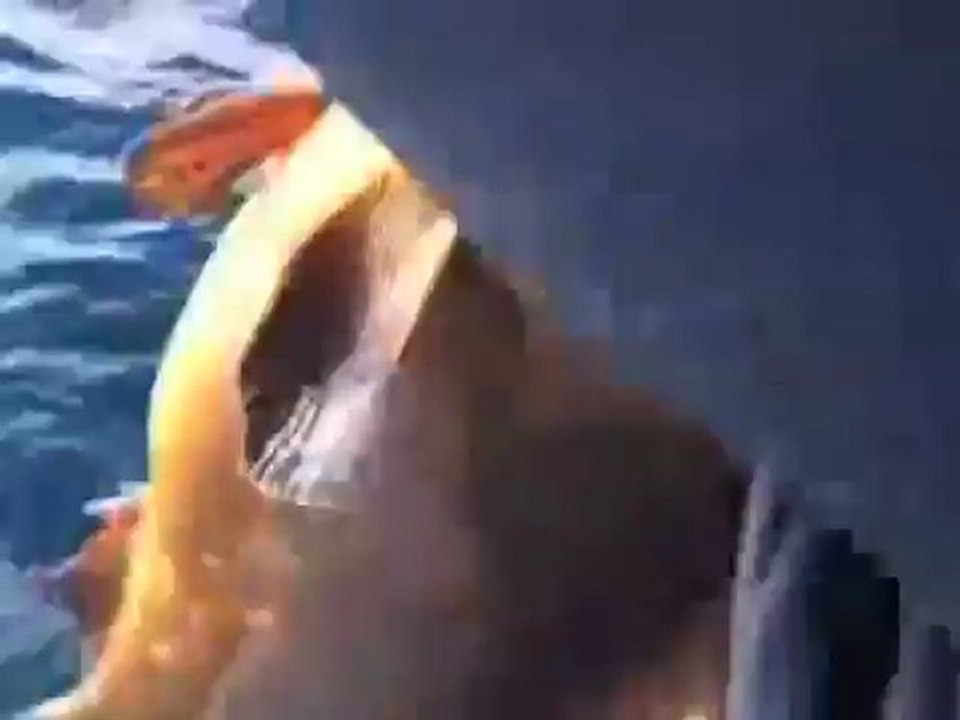 private rome tour guides