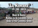 2012 La Romana koetjes
