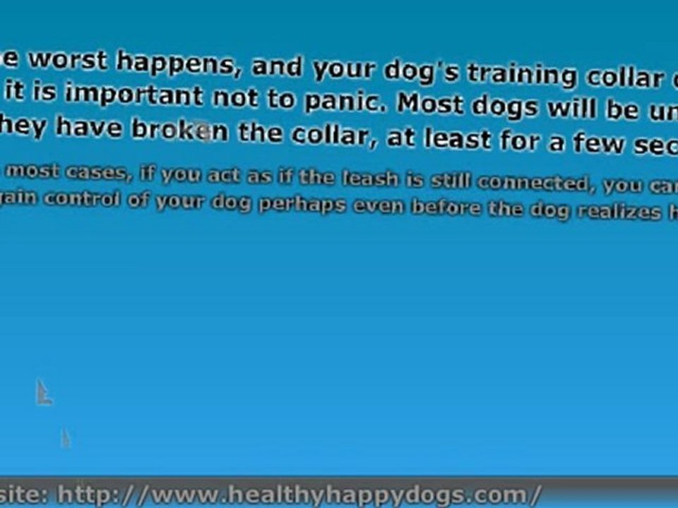 Dog Training Course - Choke Collar Training