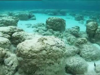 Pod povrchem Země - dokument  cz  1-část(2)