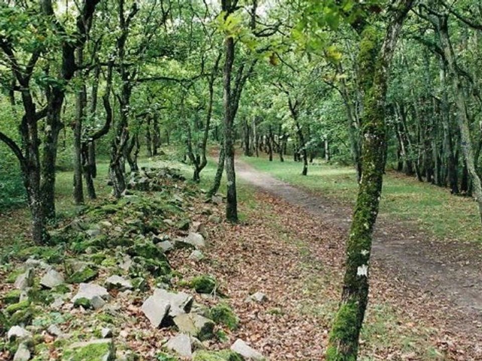 Boucle de randonnée "Chemin des grès et des bruyères"