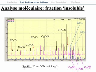 Presentation FROGs 2012 - NY Musadji