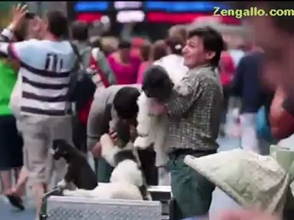 VIDEO: WATCH: Olate Dogs Among Best in Show on America's Got Talent