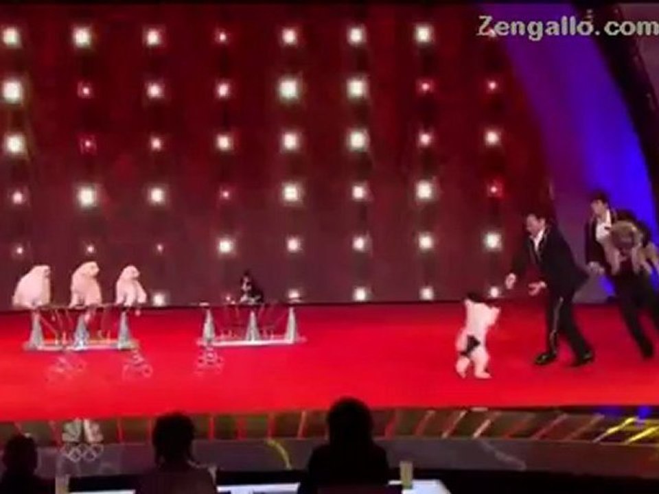 VIDEO: Watch Now: Olate Dogs Among Best in Show on America's Got Talent