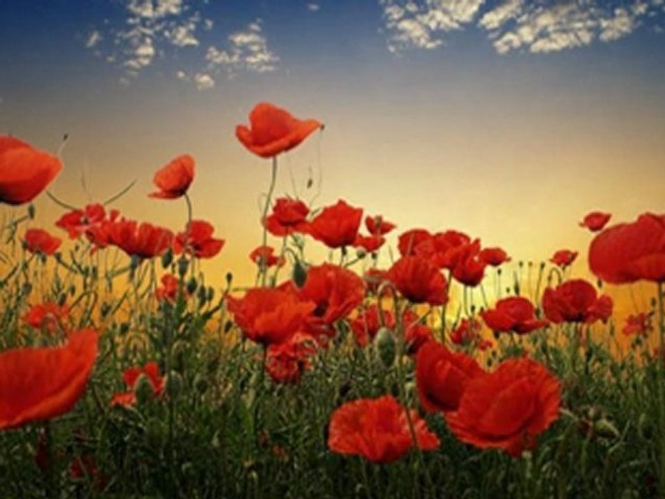 (10) 17 Mart 2012 21-13