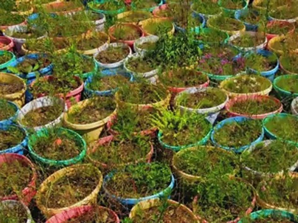Les Prairies en une minute...