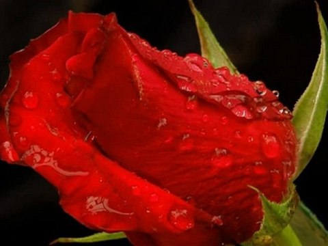 SESLİMANKEN.COM ŞİİRMİ OKUMAK İSTIYORSUN BUYRUN SİTEMIZDE CANLİ MUZIK VE ŞİİR ODASINDAN CANLİ ŞİİR OKUMA FIRSATI SUNUYORUZ. SESLİMANKEN.COM FON MUZIKLERI.! enstrumantal fon müzikleri 70 - Vidéo Dailymotion