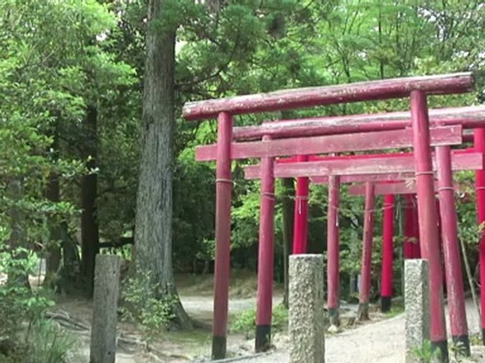 O último ninja do Japão
