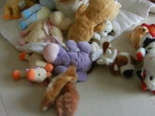 Le tri des peluches