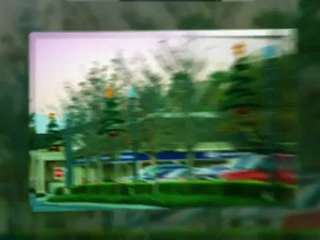 Christmas Lighting Hanging Tampa 813-252-0052 FL